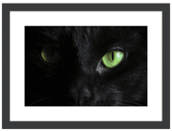 thin black picture frame with cat image